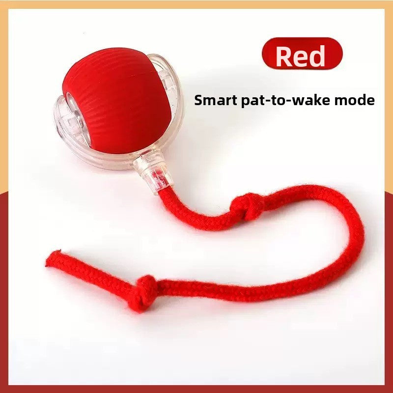 Automatic Interactive Cat Toy Ball