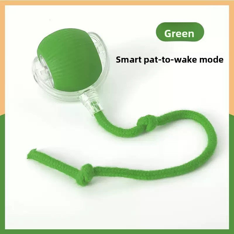 Automatic Interactive Cat Toy Ball